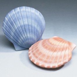 Shell Deep Water Bio-Urn